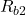Rendered by QuickLaTeX.com  R_{b2}